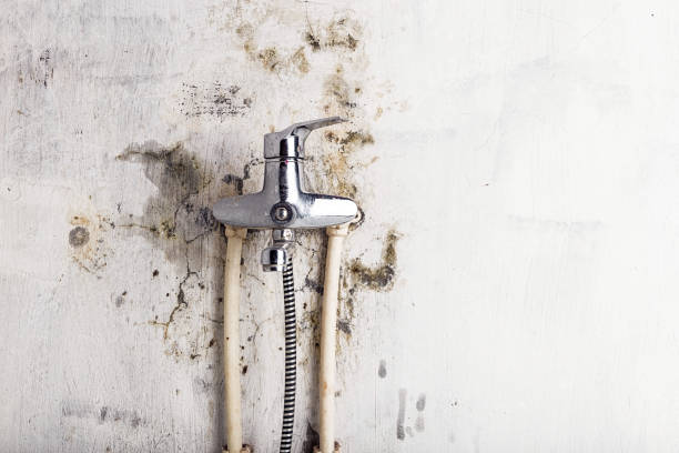 Best Water Damage Restoration  in Edgerton, OH