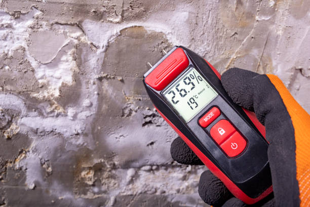 Best Mold Removal Near Me  in Edgerton, OH