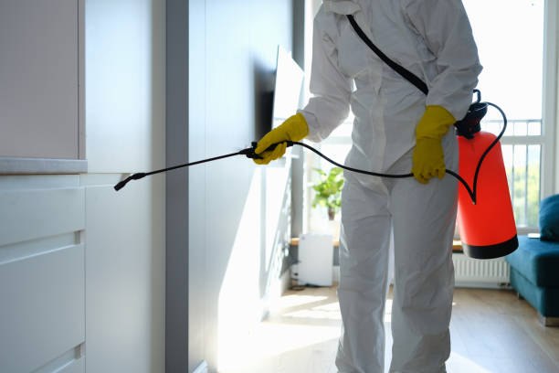 Best Mold Remediation  in Edgerton, OH