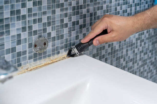 Best Mold Removal Near Me  in Edgerton, OH
